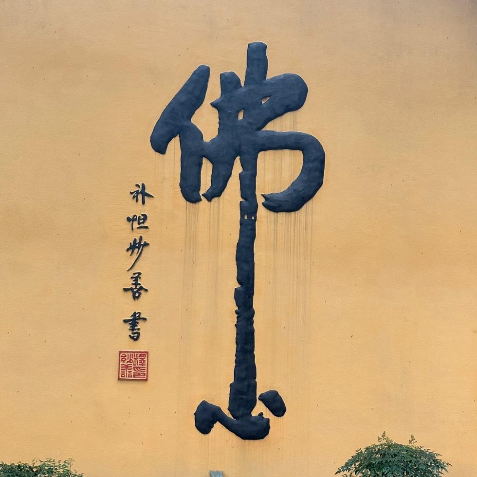 幸福鸟🧍‍♀️💄
