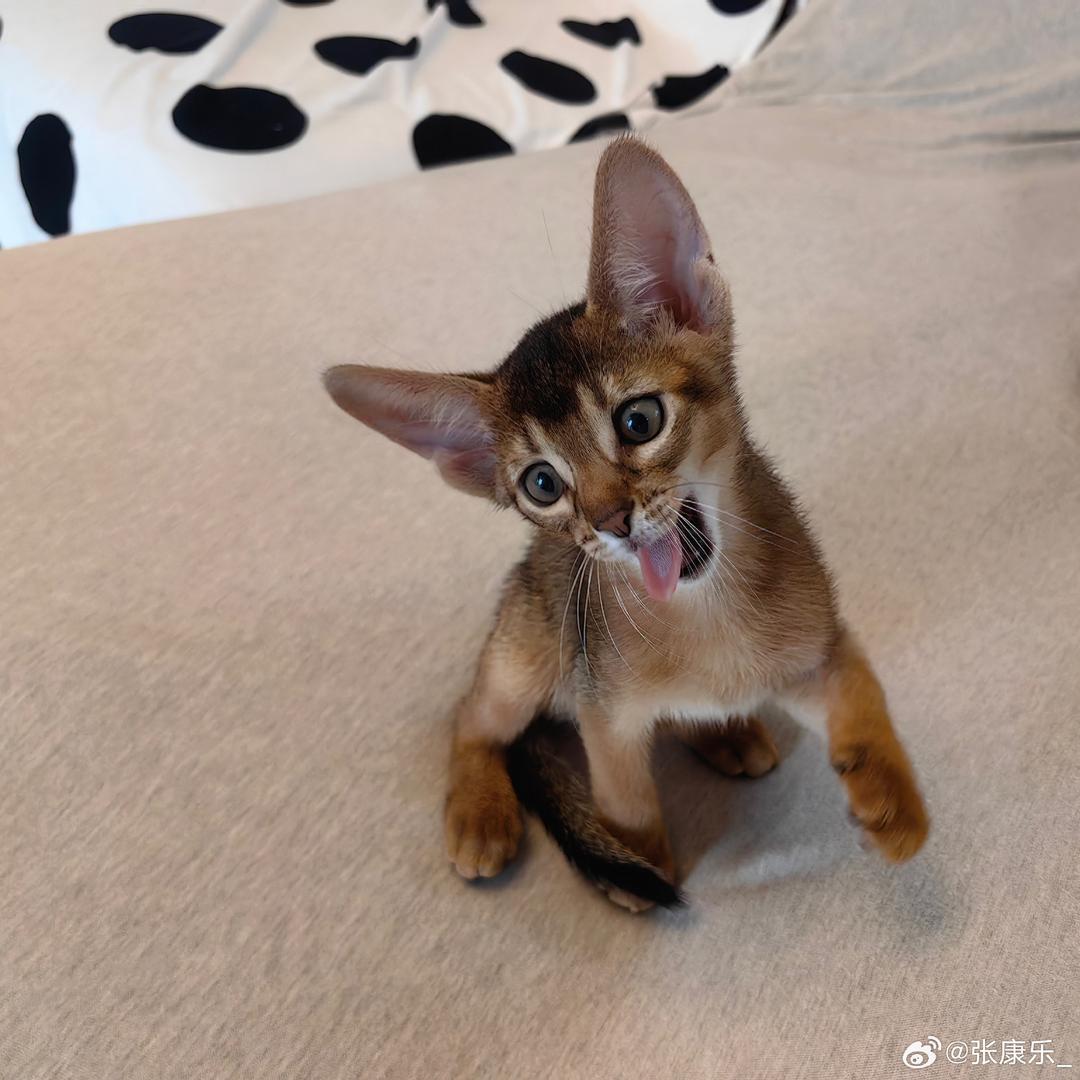 该说的都说过了