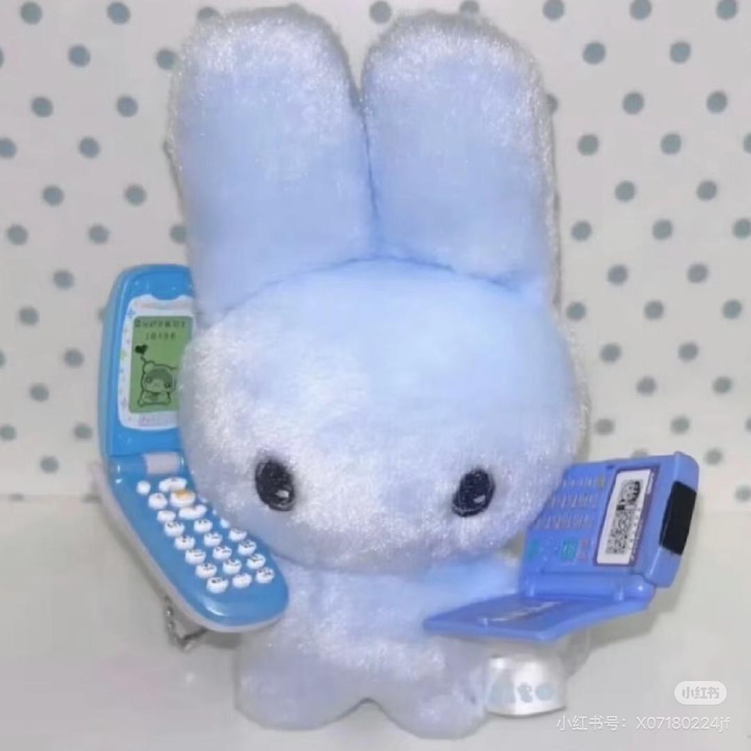 大毛💤