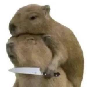 业余磕糖大王