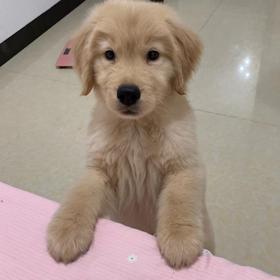 兜宝🐾