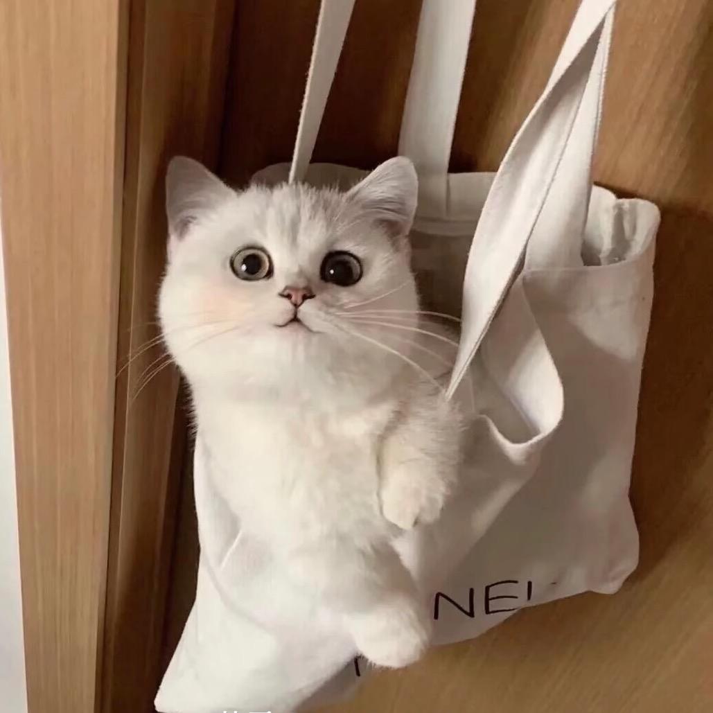 许七安🧣