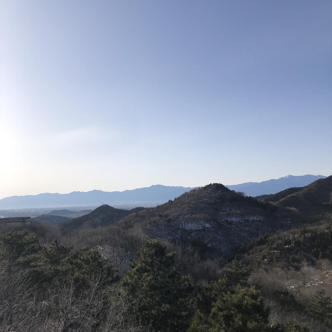 飞黄腾达