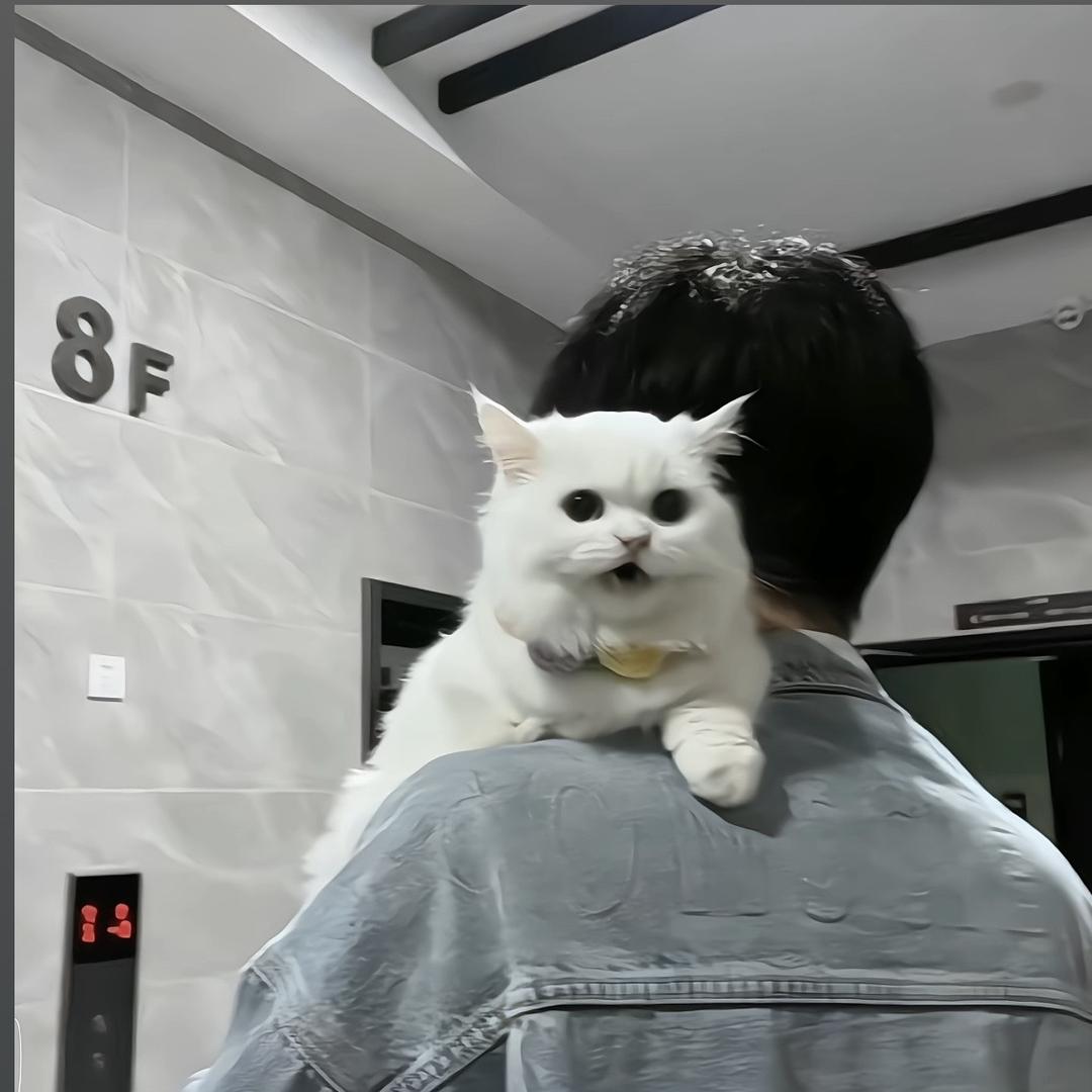 毋