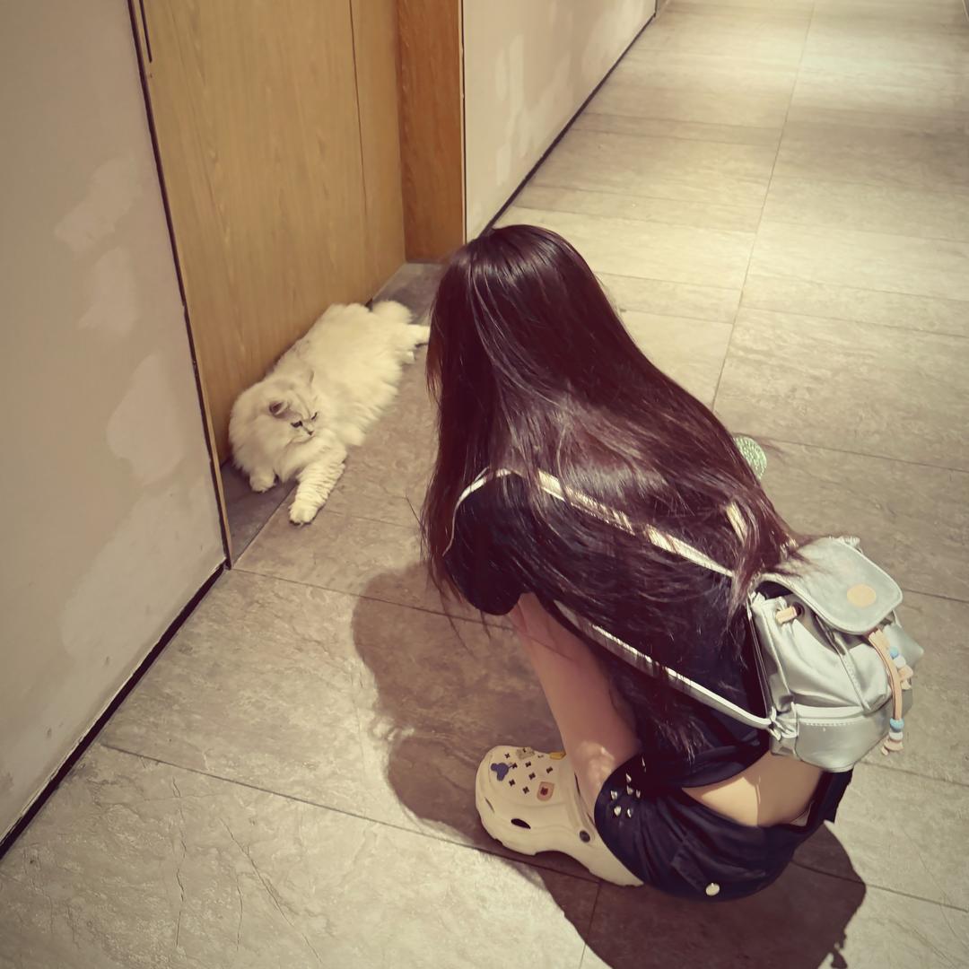 小小雅.