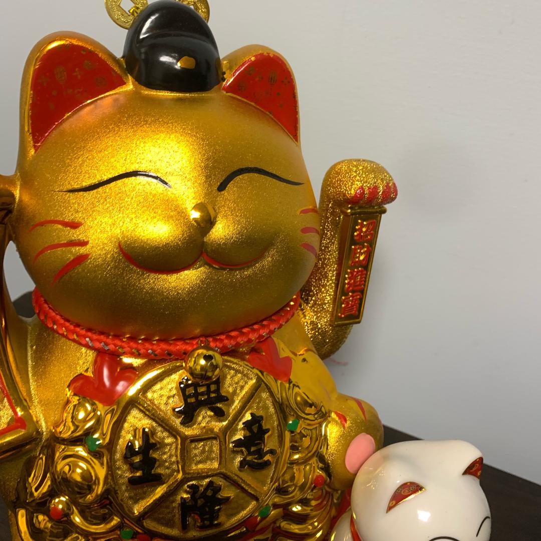 黑色柳丁🤪