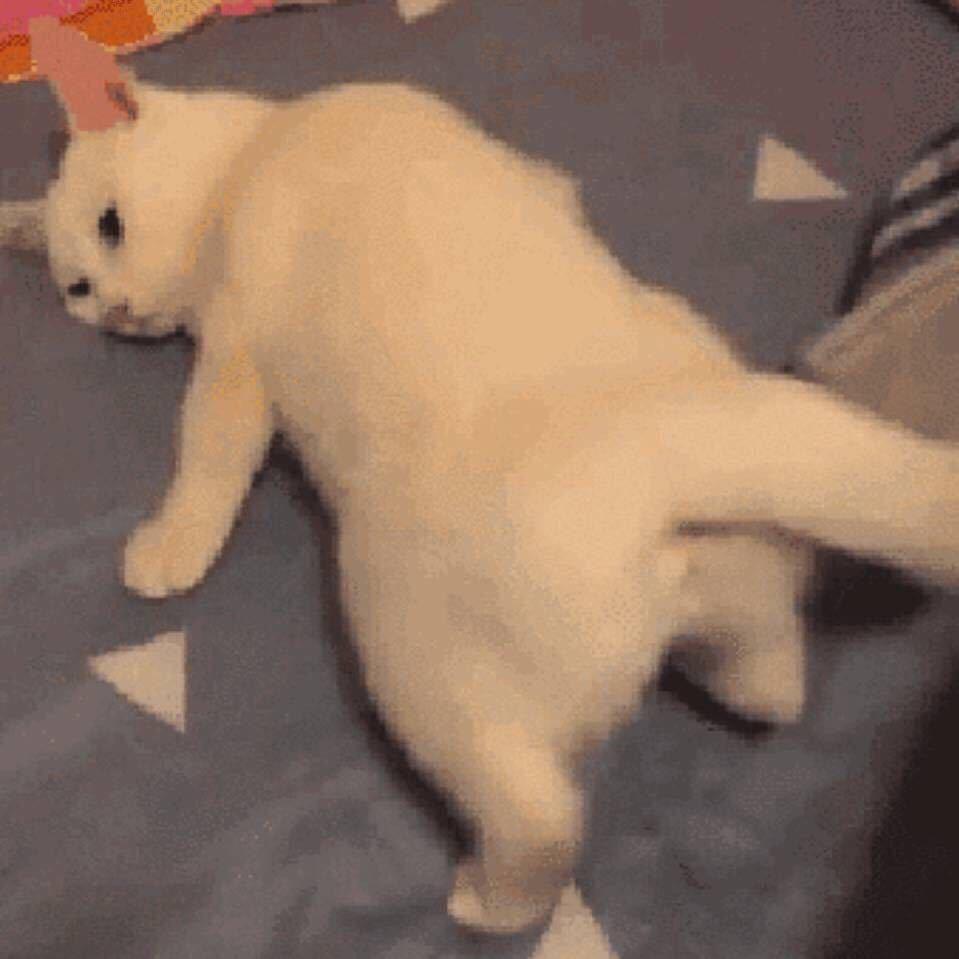 sdd