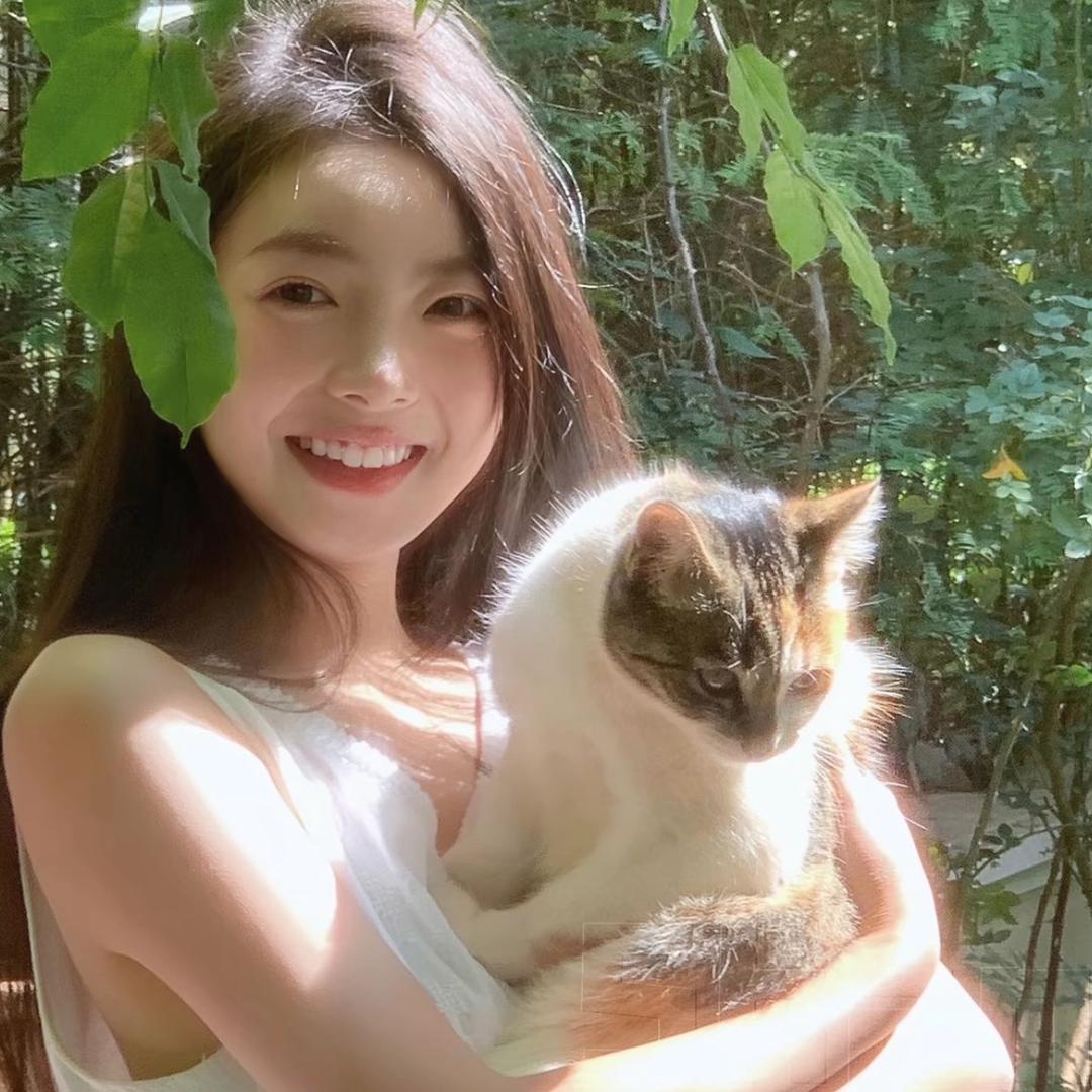阴郁小猫˃ 𖥦 ˂