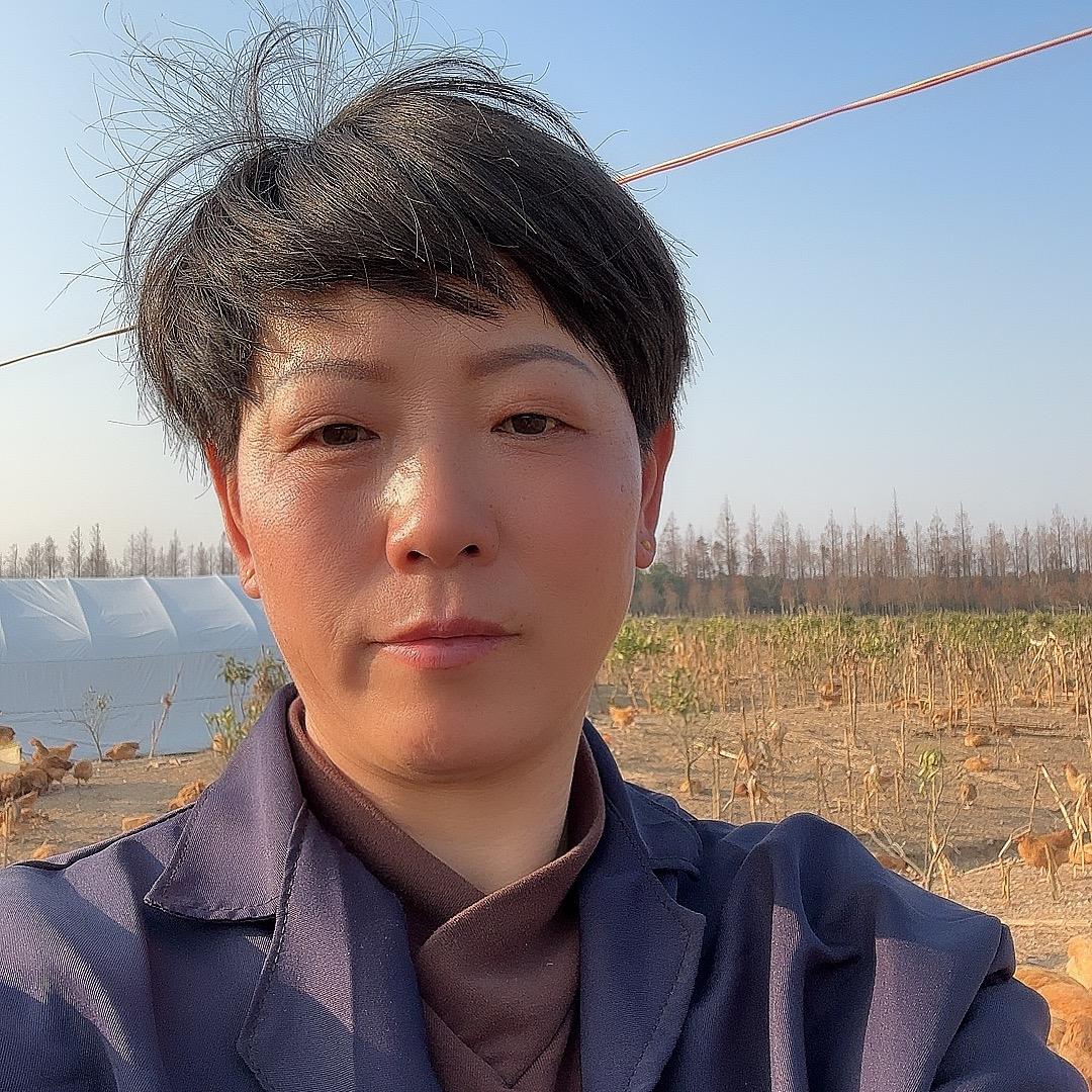 桔子🍊红了