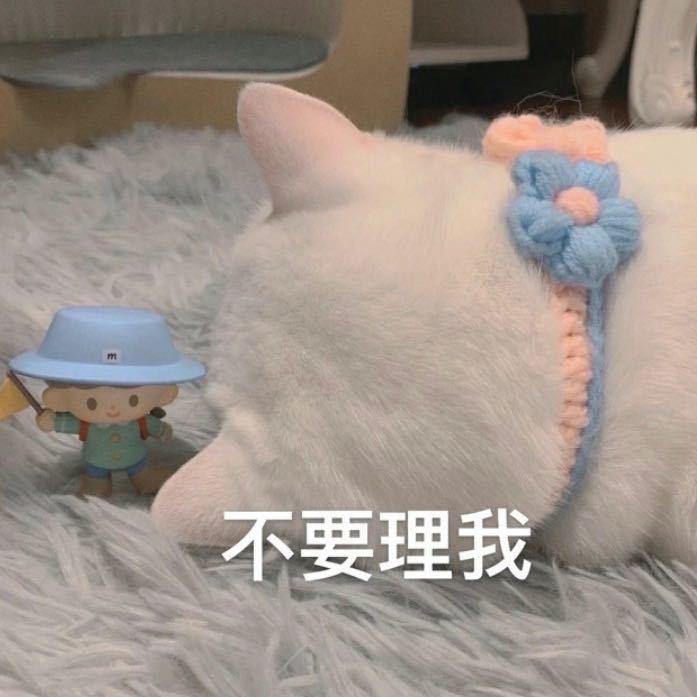 别