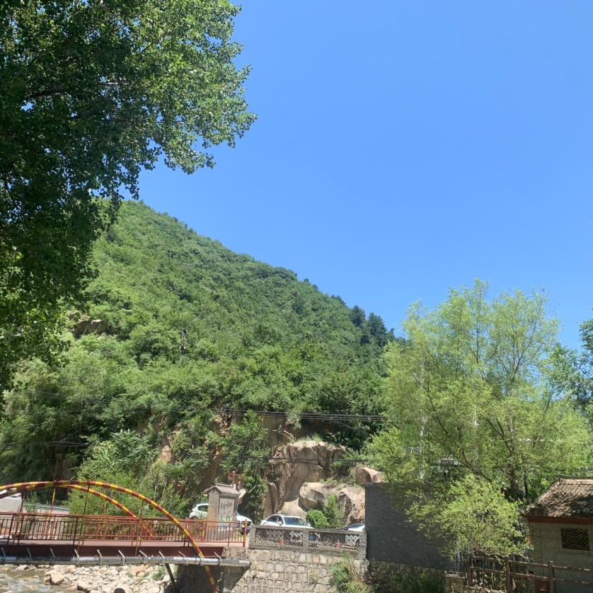 随风吹落的叶子