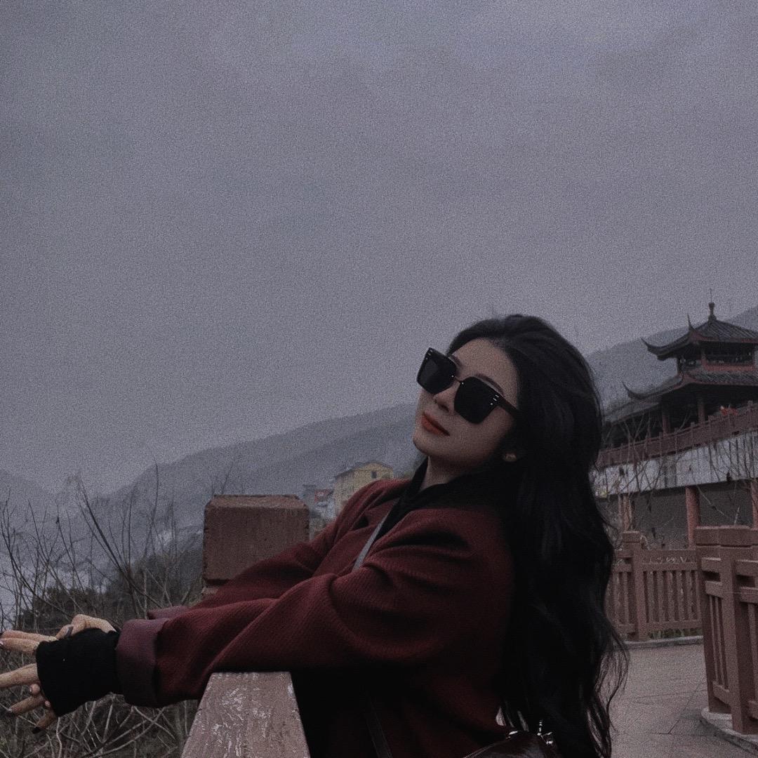 ZY 微胖小众女装
