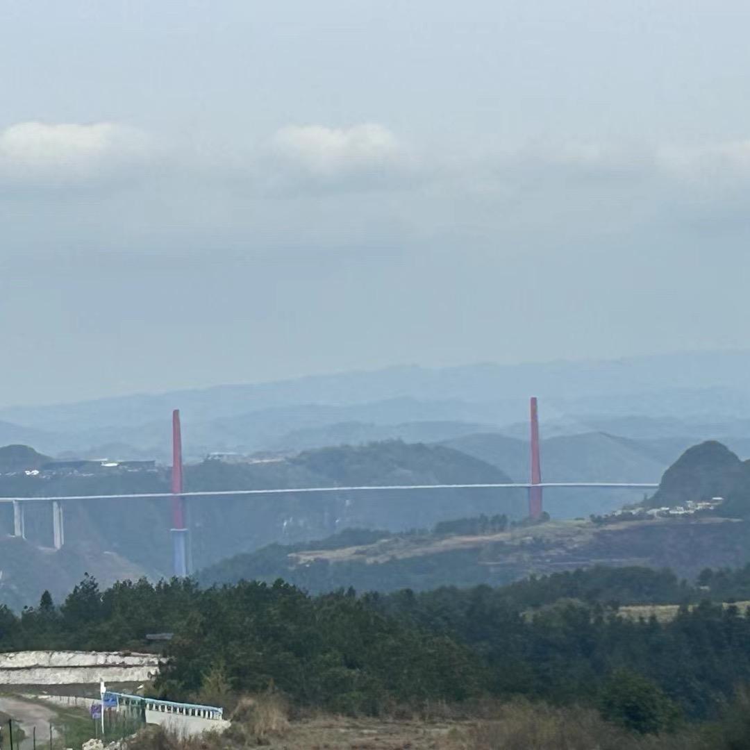 🌻cui🌻cui🌻娄