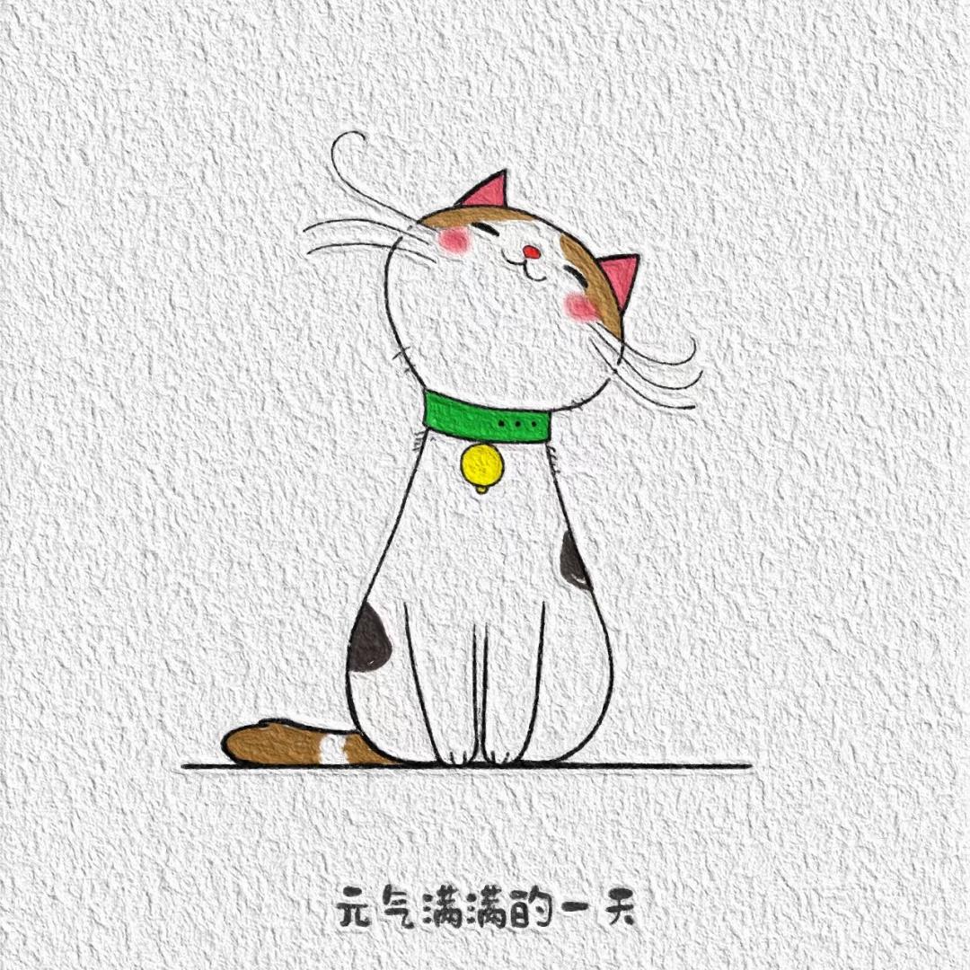 大喵口苗