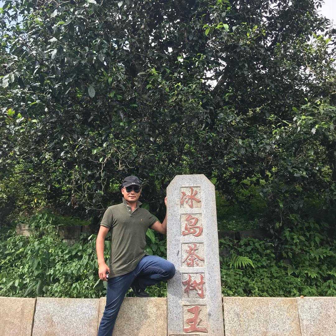 臻茗古树茶