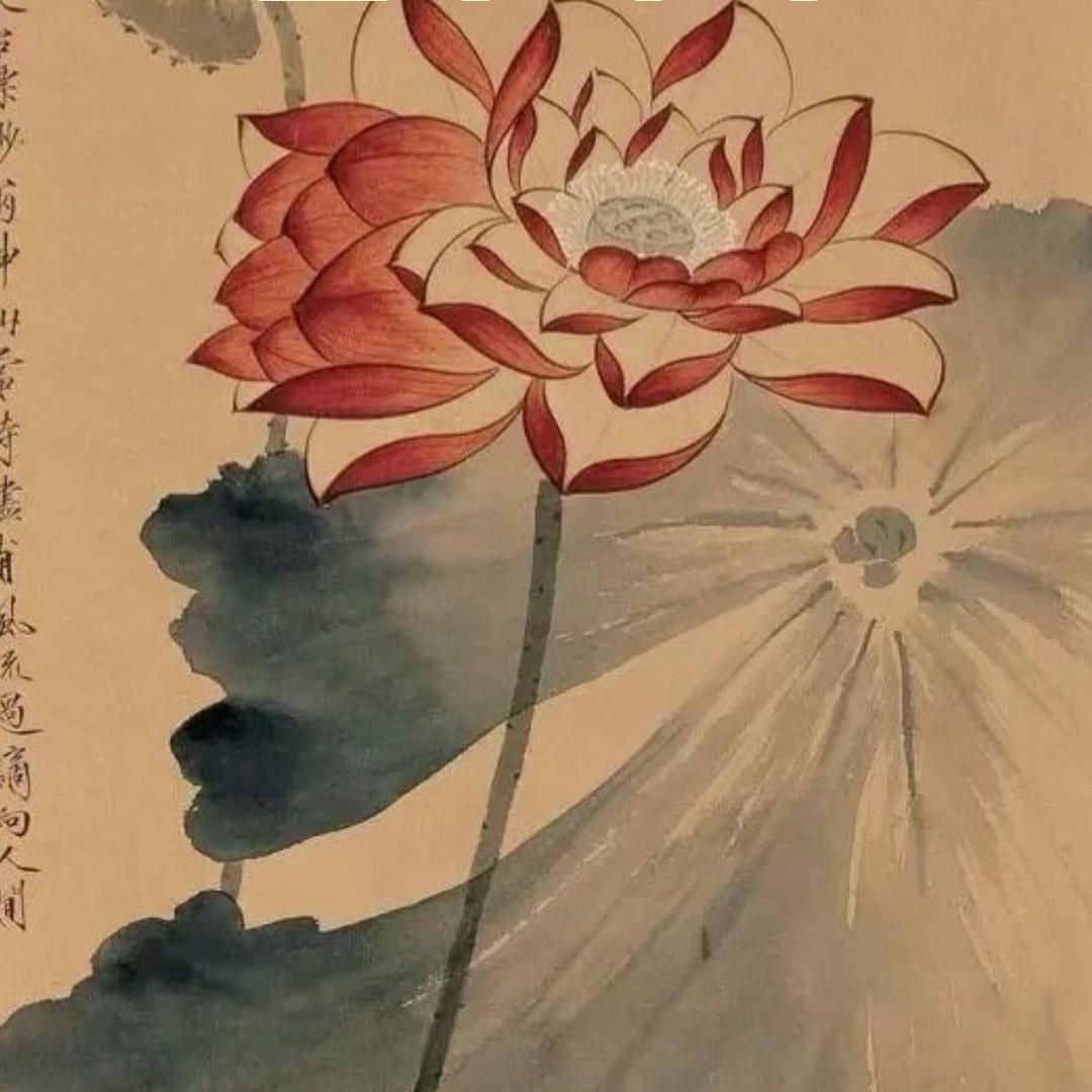 百岁爷爷的雯雯