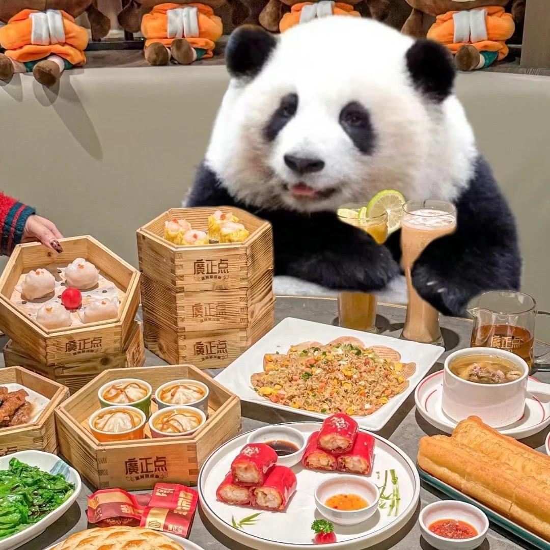 熊熊的心愿