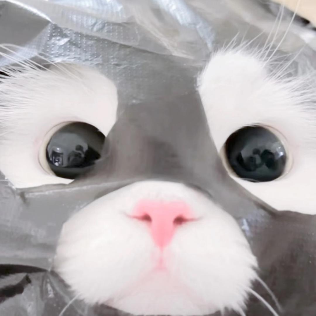小凌ovo