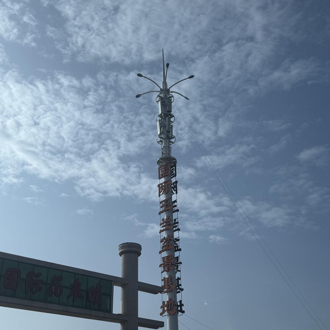 郭记花卉园艺店