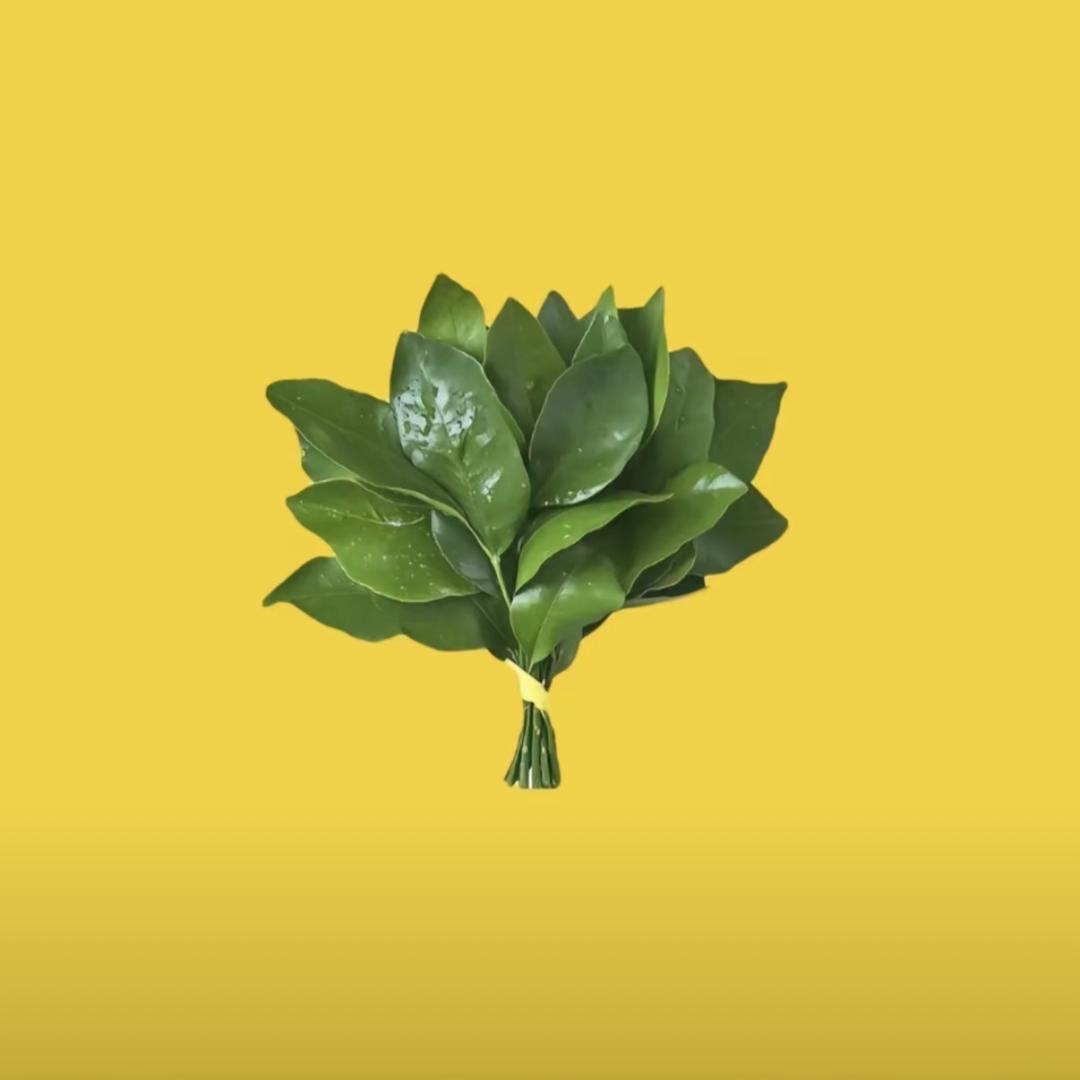 cs给我挡灾
