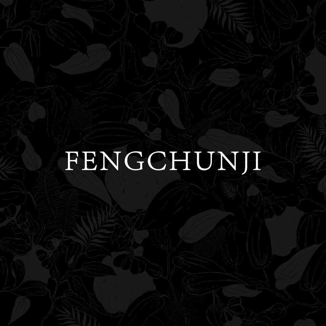 FENGCHUNJI 逢春记