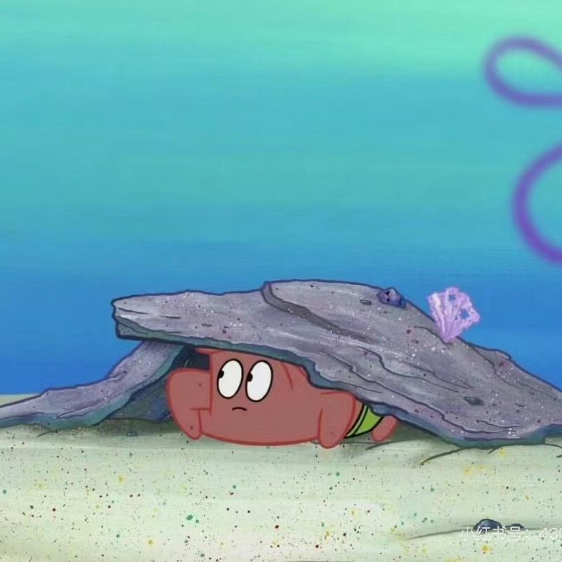 🌈派大唾沫星子