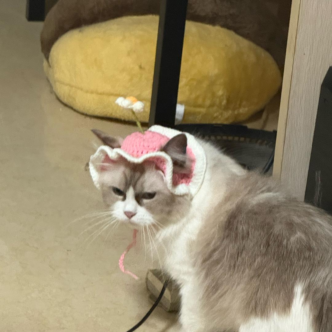 撞地球