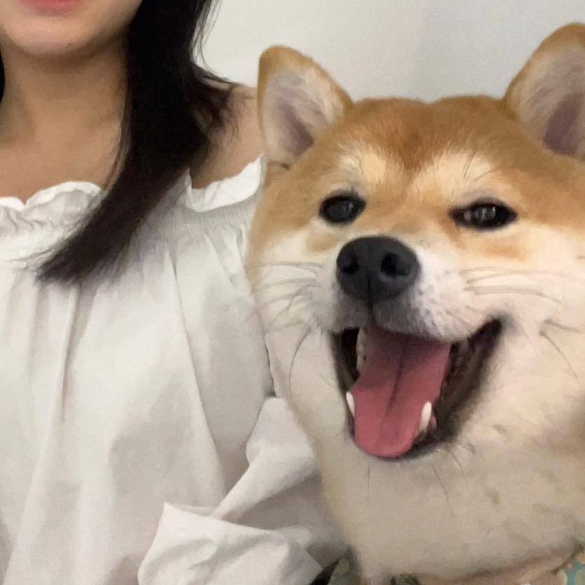 蒙娜荔枝