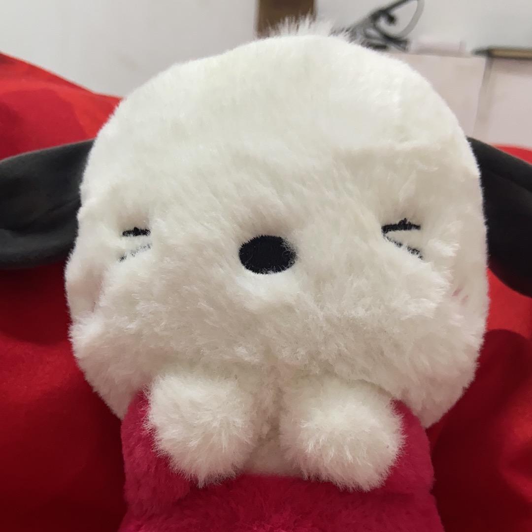 笑笑与鱼