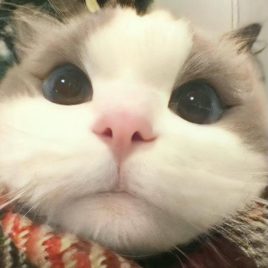 爱在西元前🌸