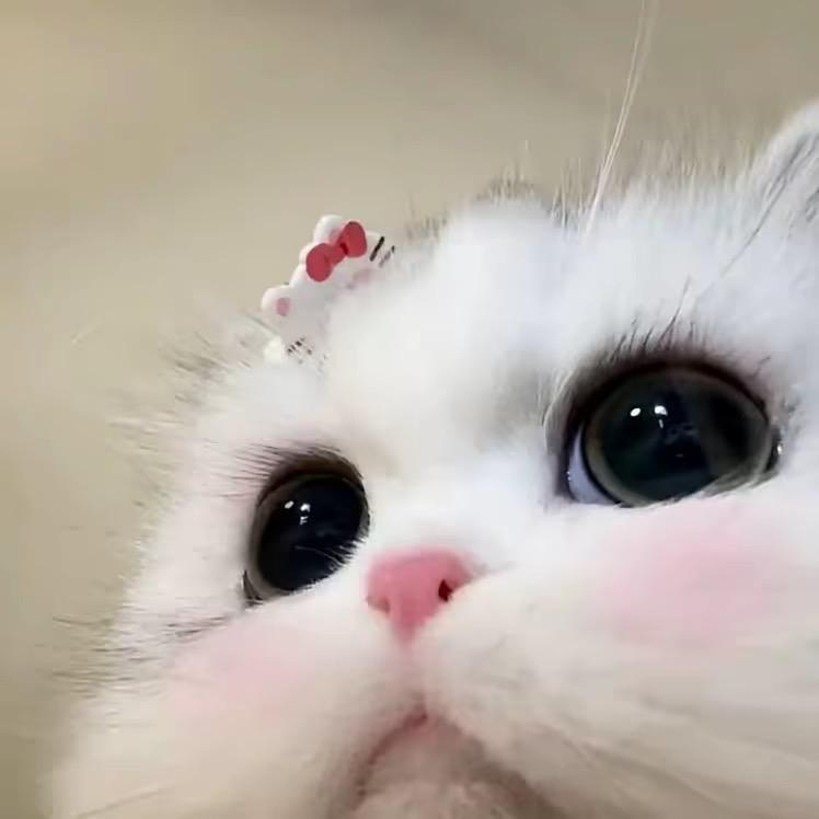 小薛。