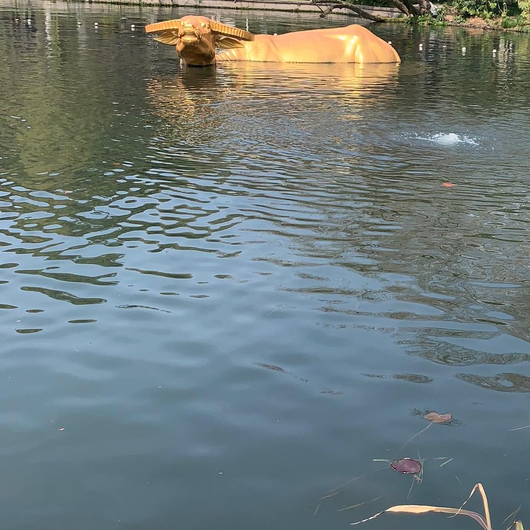 运霞❤️