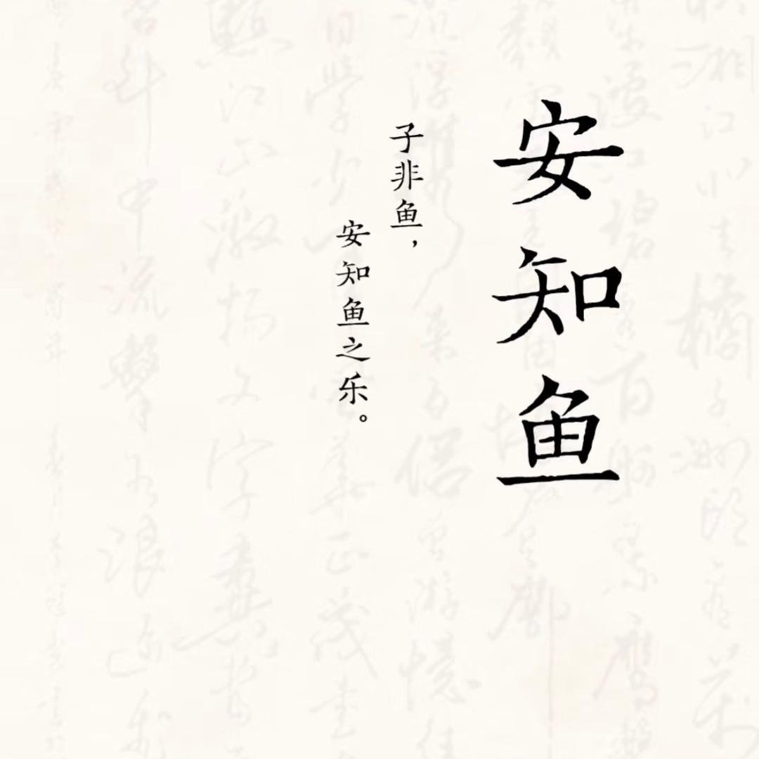 安知鱼