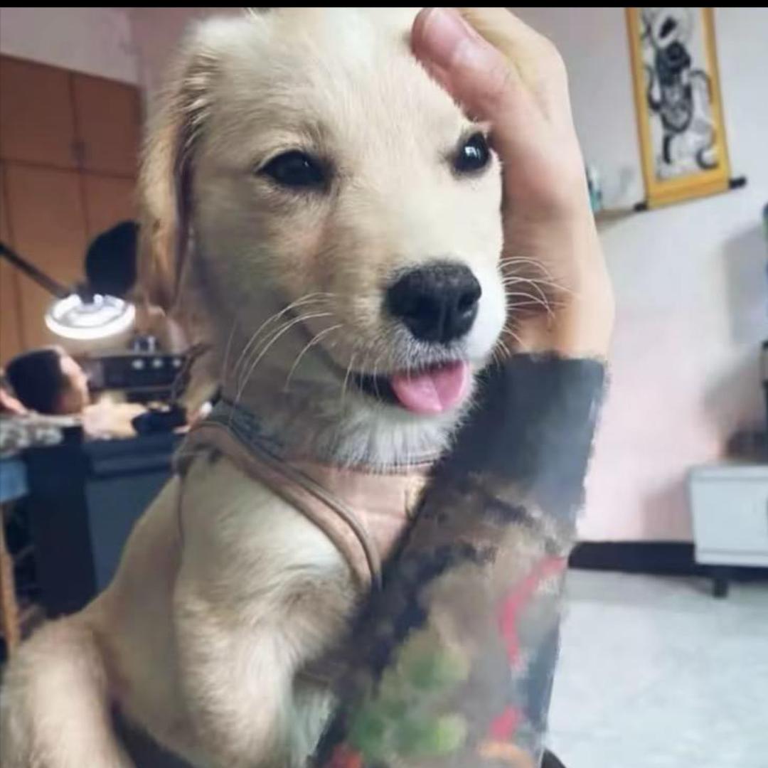 󠀀ㅤ泪与恨共情