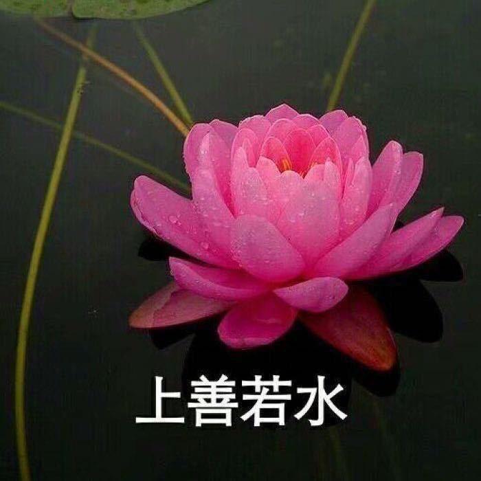 杨金龙(目标2030年回本)