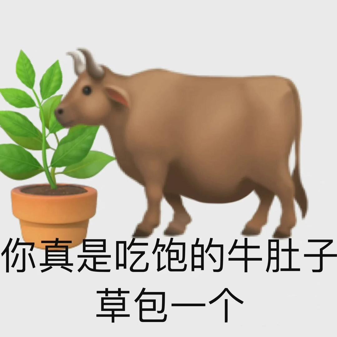 只吃小笼包