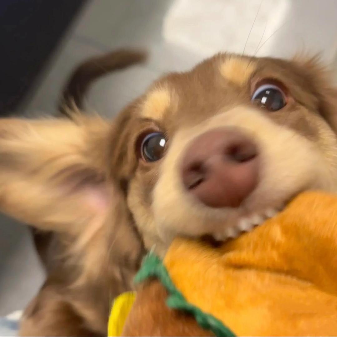 很美味 づ