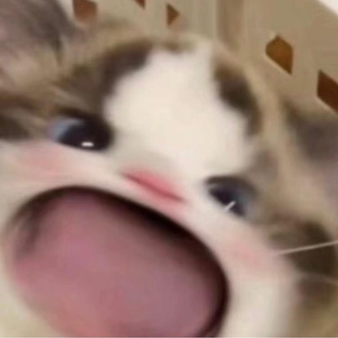 小鳕屁桃