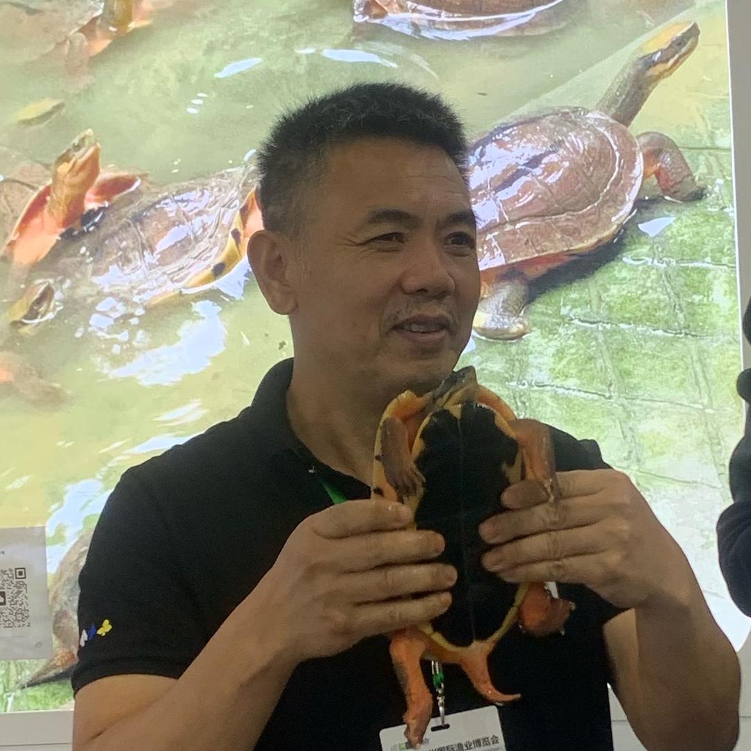 梦境归来农业
