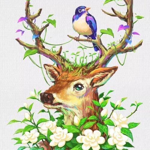 海的容颜