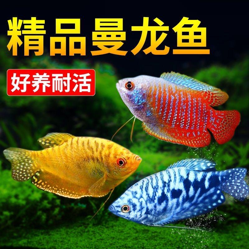 海悠水族馆