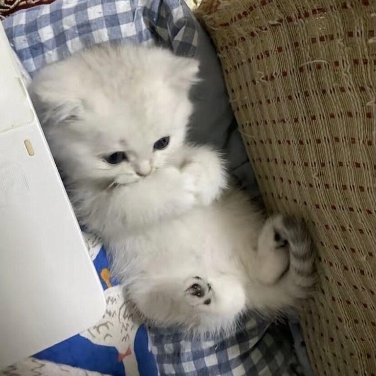 怎么才能不犯困