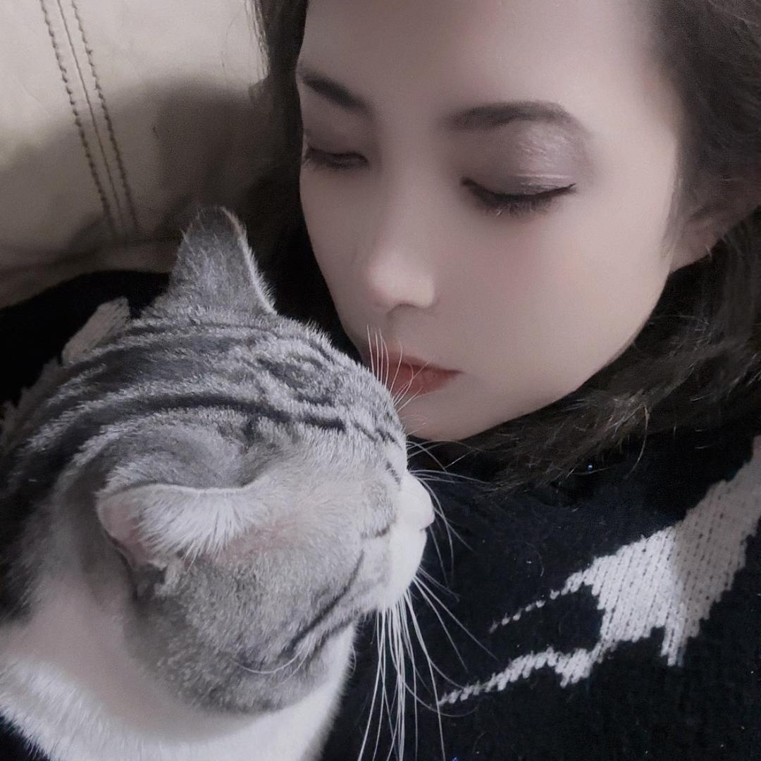 天天宠爱