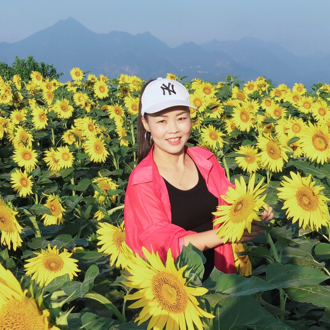 郑玲杏