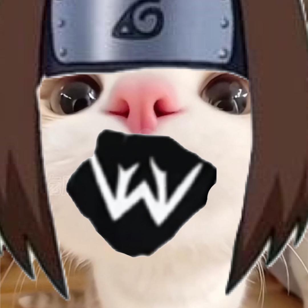 琳雨^
