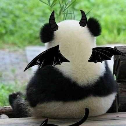 断念