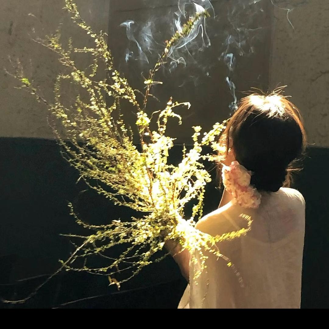 小晗🪷