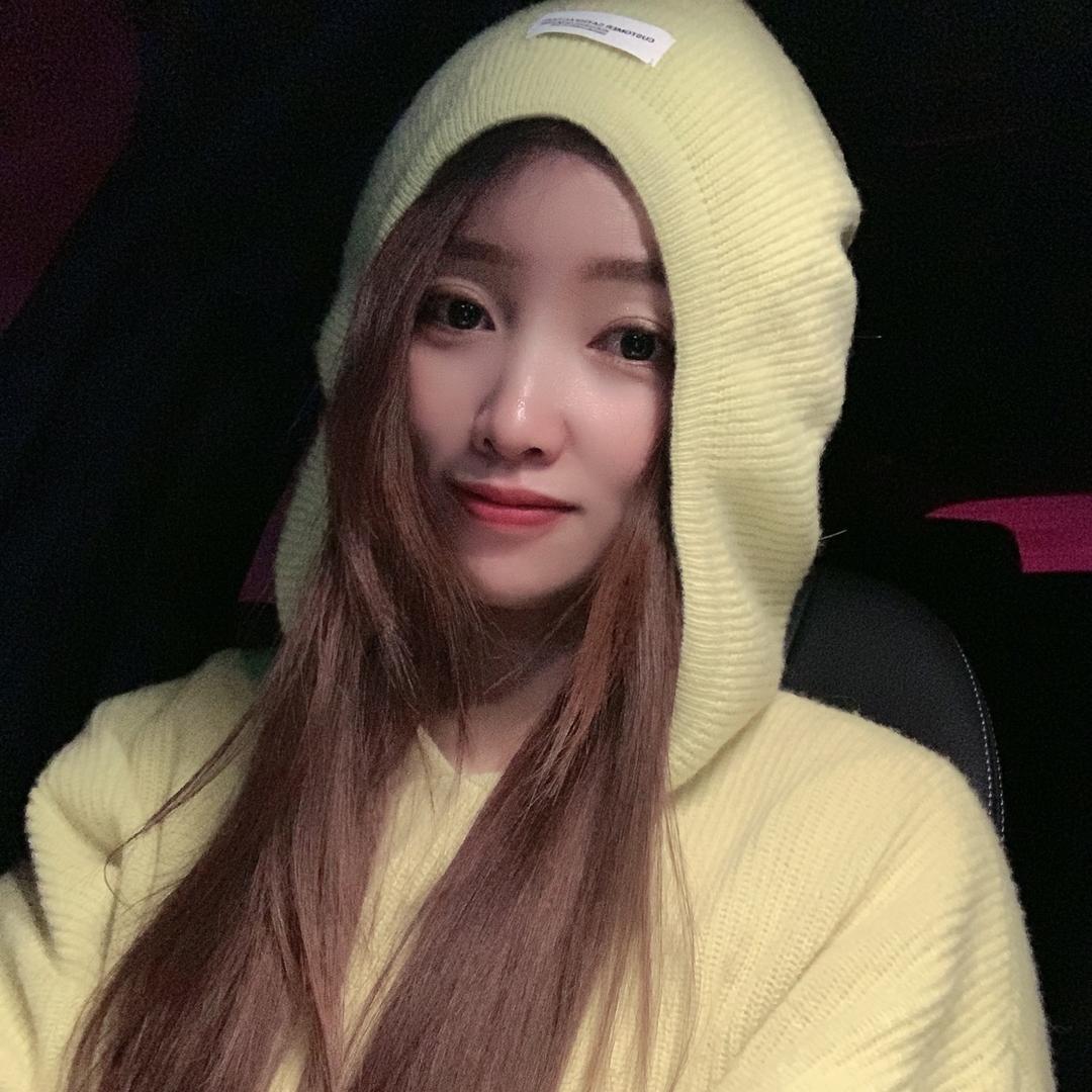 木焱花卉绿植