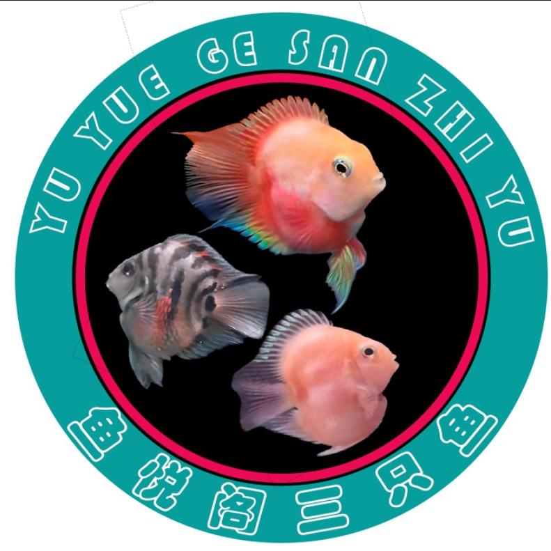 鱼悦阁三只鱼