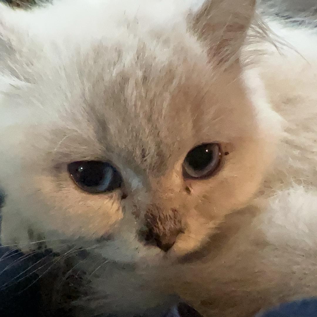 小叮当^_^